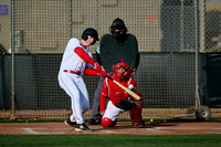 Reds Day 5 - 37 - F5 Plant City vs Goodyear